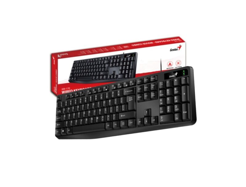 Teclado Genius Kb-117 Usb Negro Classic